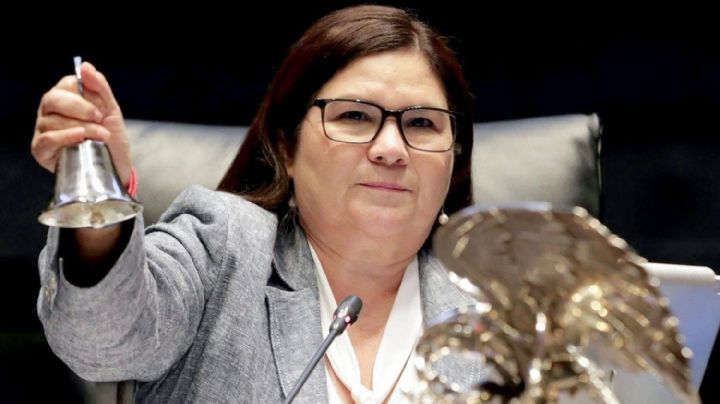 IEES sanciona a la senadora Imelda Castro por incurrir en promoción personalizada
