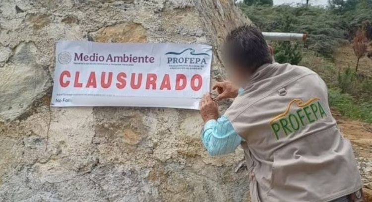México no cumple sus obligaciones internacionales