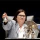 IEES sanciona a la senadora Imelda Castro por incurrir en promoción personalizada