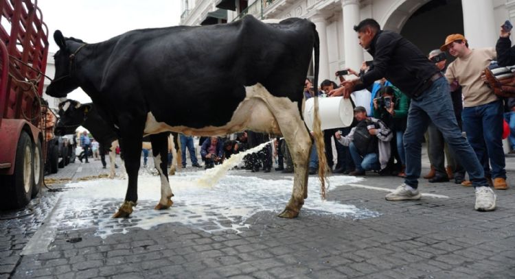 Ganaderos de Veracruz tiran leche tras cierre de centro de acopio del Bienestar