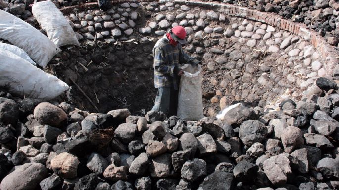 Las secuelas del boom mezcalero: sabor adulterado, daños al ecosistema, corrupción...