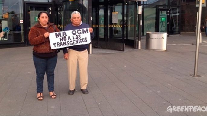 Apicultores mayas testificarán contra Monsanto ante el Tribunal Internacional de La Haya