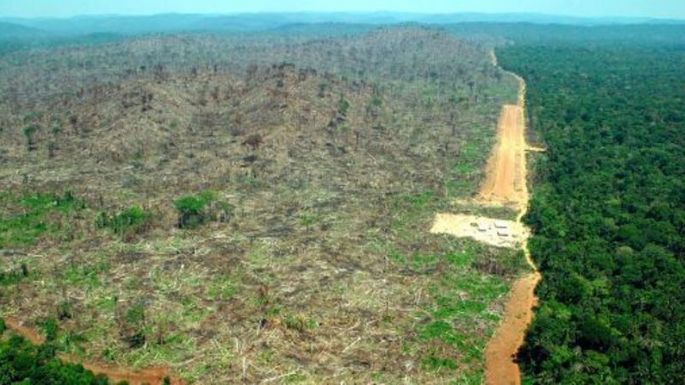 México, en la ruta de la madera ilegal de la Amazonía peruana