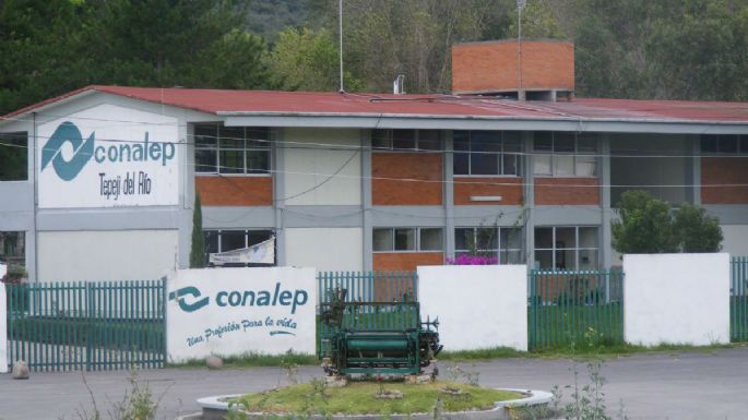 Robos, acoso escolar, drogas y hasta agresiones sexuales en planteles del Conalep: INEE