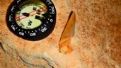 Descubren restos fosilizados de tiburón prehistórico en un cenote de Yucatán