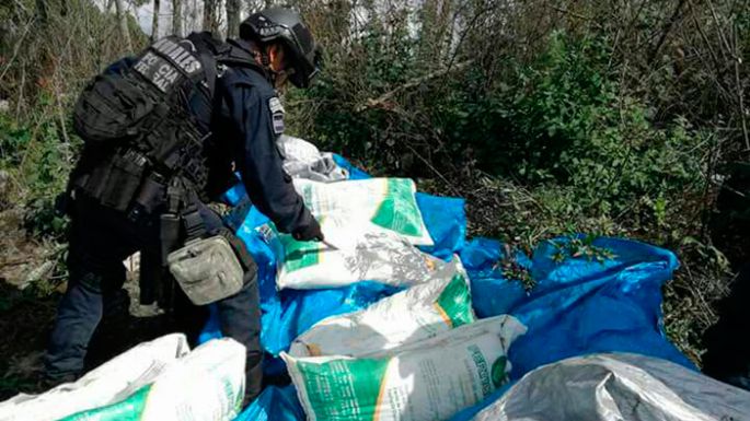 Hallan plantíos de amapola, narco-campamento y 1.5 toneladas de fertilizante del gobierno de Astudillo