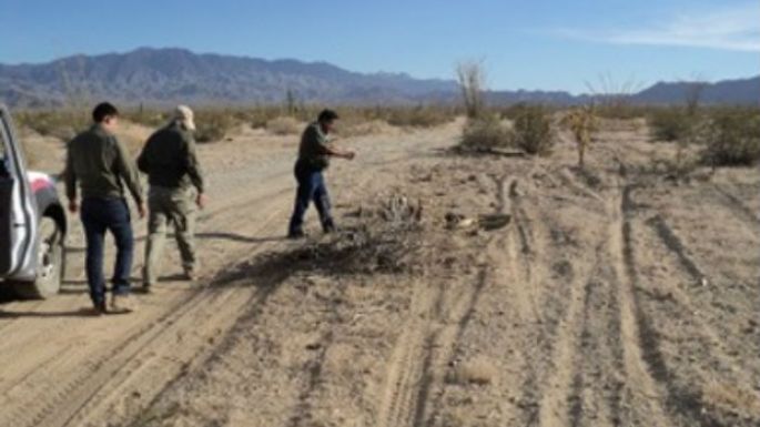 La Profepa sanciona, otra vez, a empresa organizadora de la carrera "Baja 1000"