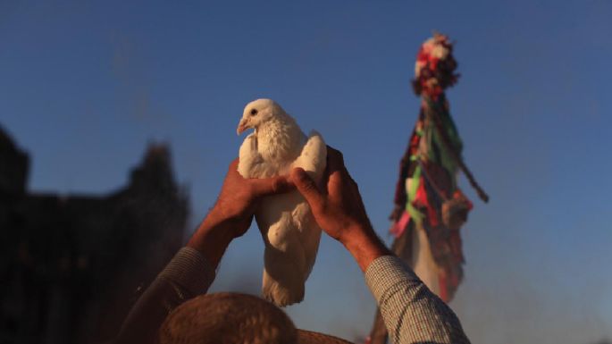 Celebran a López Obrador en el Zócalo (Fotogalería)