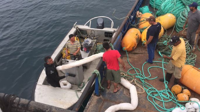 Tripulantes resultan sanos y salvos tras hundimiento de embarcación pesquera en BC: Profepa