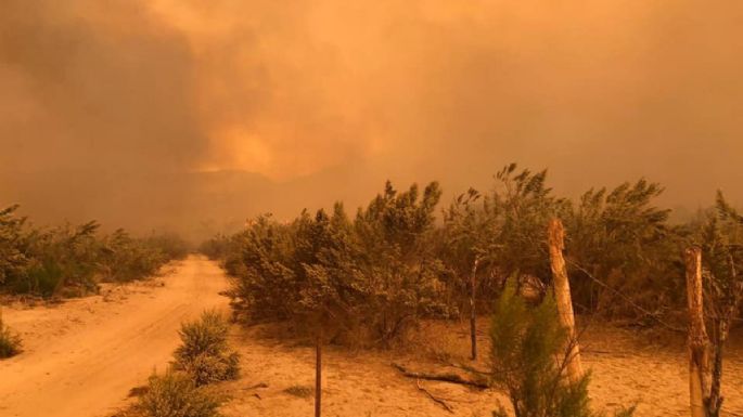 Incendios en Baja California dejan cuatro muertos y más de 200 casas dañadas