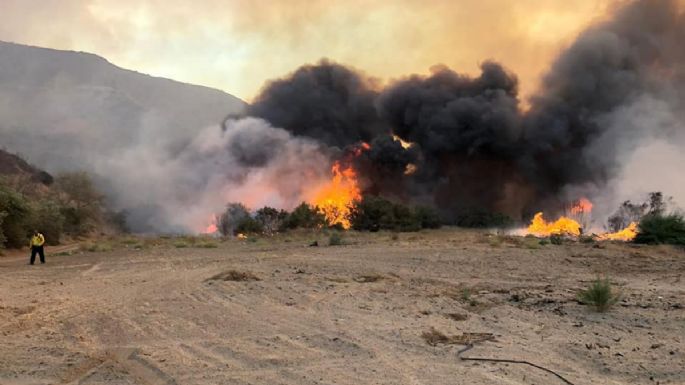 Incendios en Baja California dejan cuatro muertos y más de 200 casas dañadas