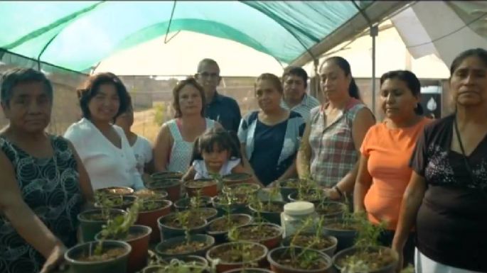 Con participación del Ejército, arranca programa de reforestación 'Sembrando Vida”