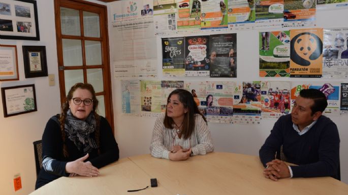 Académicos de la UNAM indagan variantes genéticas asociadas al cáncer infantil