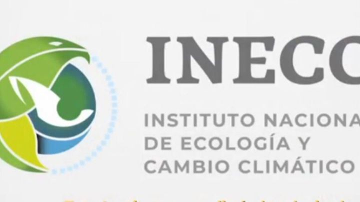 Tras evaluar 100 días de López Obrador, Greenpeace augura 'desastre climático”