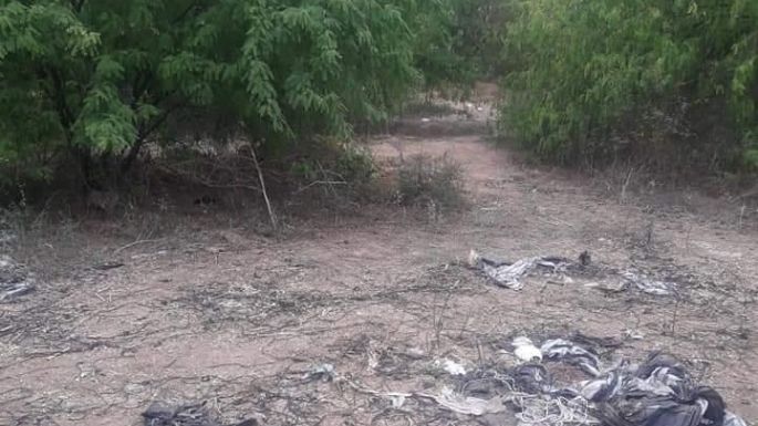 "Aguerrida" búsqueda en Cajeme: 20 fosas clandestinas con una treintena de cadáveres