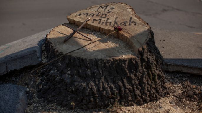 Mítikah: El cementerio de árboles