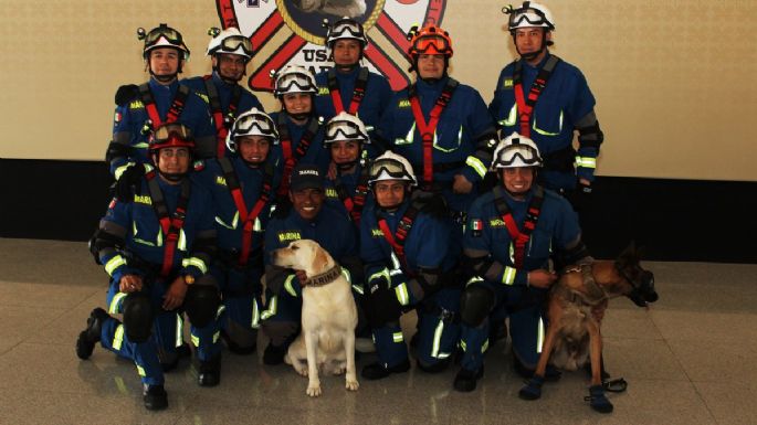 La Semar jubila a Frida, la perrita rescatista del #19S (Video)