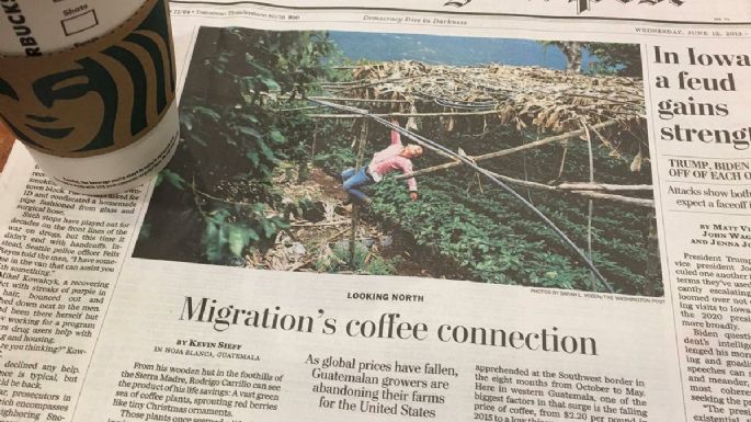 Europa y la migración del café