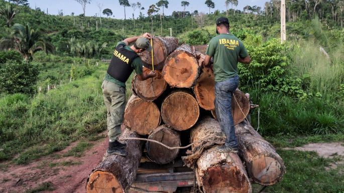 Bolsonaro, el antiecologista