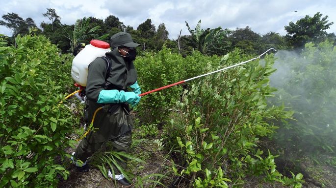 Colombia: El gobernador que desafía la política antidrogas de Trump