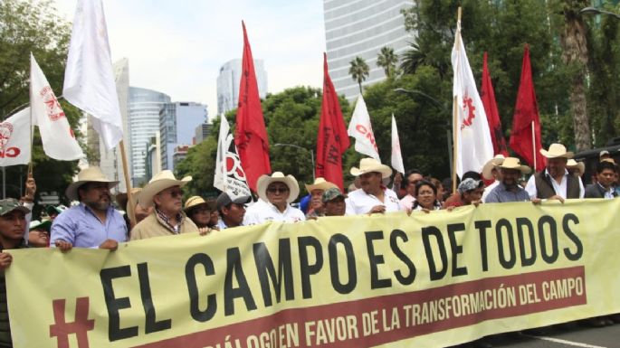 Organizaciones campesinas marchan y exigen diálogo con AMLO