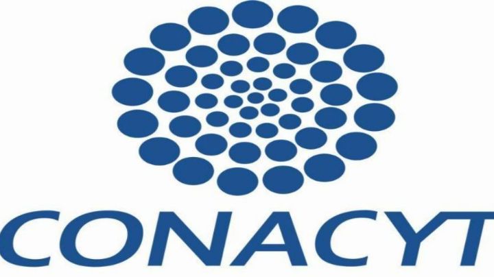 Académicos contra la 4T