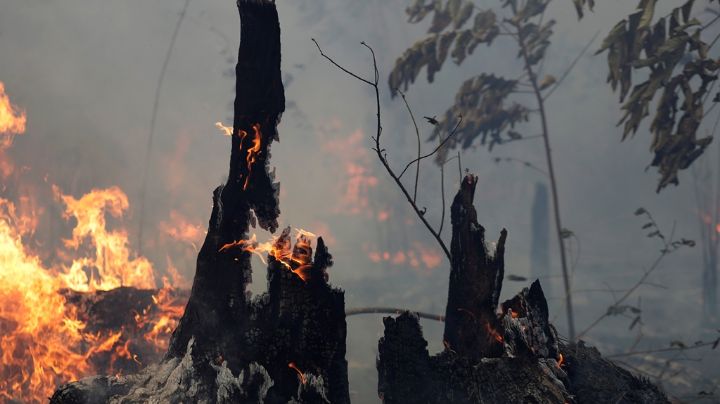 El fuego de la Amazonia alcanza a Bolsonaro