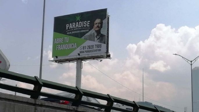 Imagen de Vicente Fox dará enfoque social al negocio de cannabis: Paradise