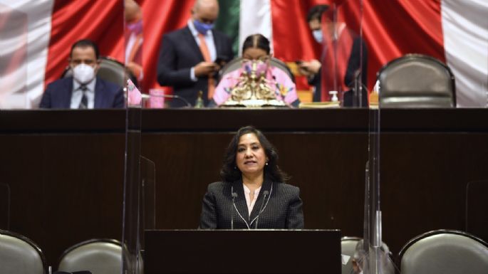 Ante Irma Eréndira Sandoval, diputado pide cárcel para funcionarios de la Conade