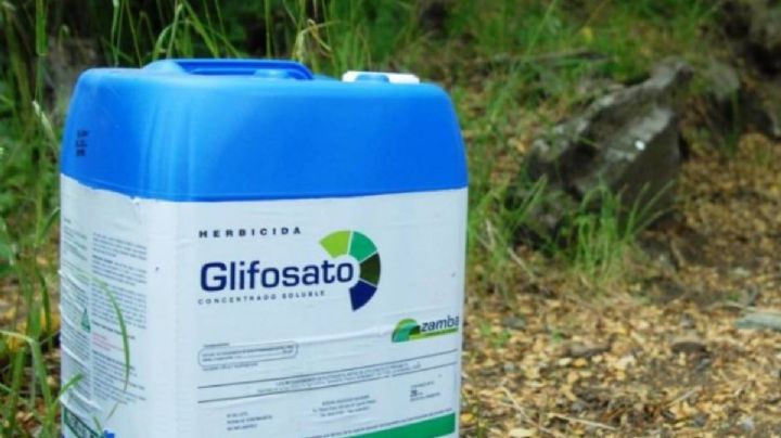 Ambientalistas piden campaña de difusión sobre decreto que prohíbe el glifosato