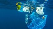 Greenpeace México solicitó a juez federal que se legisle para prohibir los plásticos de un solo uso