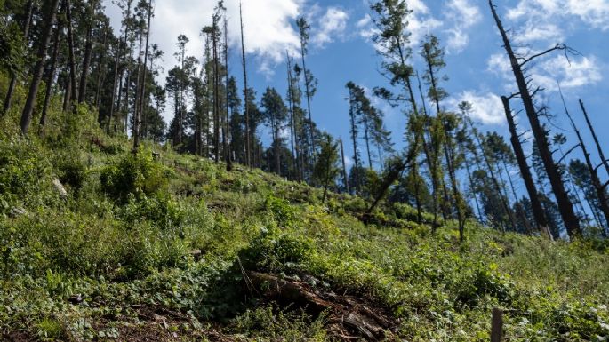 México y UE acuerdan promover acciones contra cambio climático