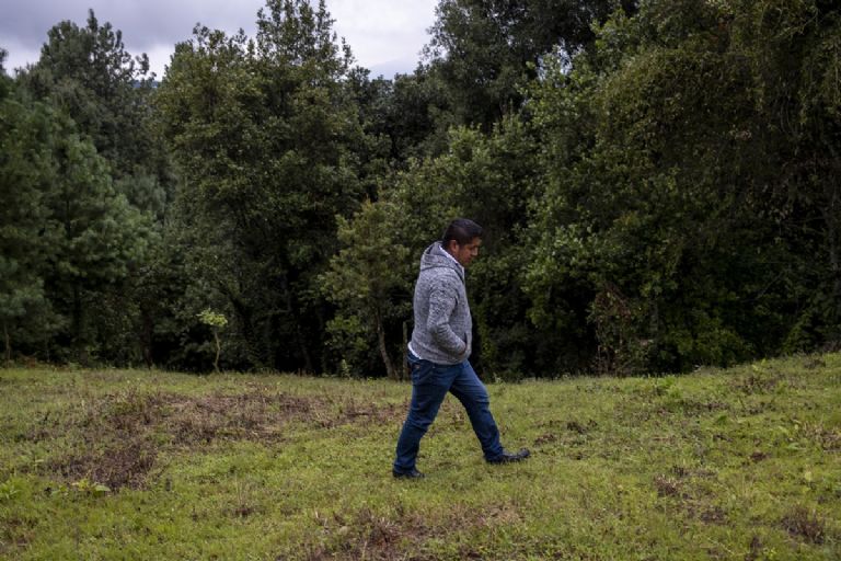 Misael Zamora en un terreno reforestado por su familia. Foto: Alejandro Saldívar