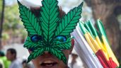 Festival de Cine Cannábico en México busca romper estigmas asociados a la mariguana