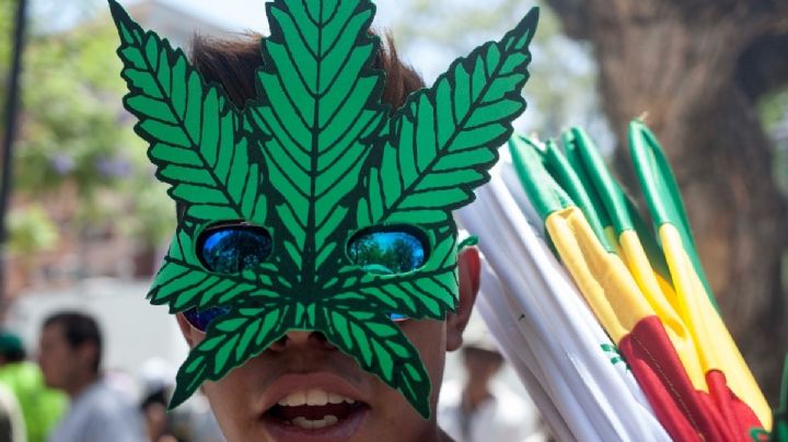 Festival de Cine Cannábico en México busca romper estigmas asociados a la mariguana