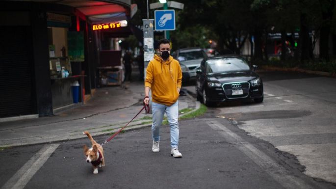 Agricultura confirma cuatro casos de covid en mascotas del área metropolitana de la CDMX