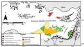 Un tsunami de 40 metros barrió el Mediterráneo oriental hace 9 mil años