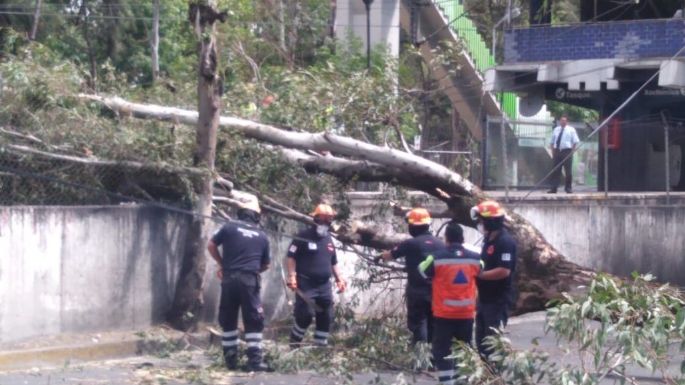 Emiten alerta amarilla en 12 alcaldías de la CDMX por vientos de hasta 59 km por hora