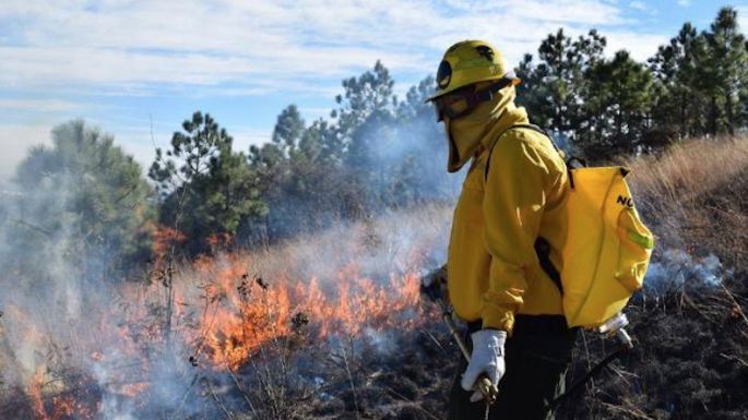 Conafor reporta 40 incendios forestales en el país