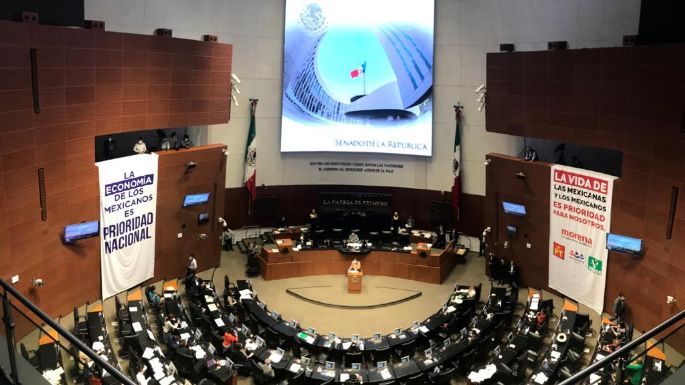 Morena y aliados en el Senado aprueban Ley de Amnistía