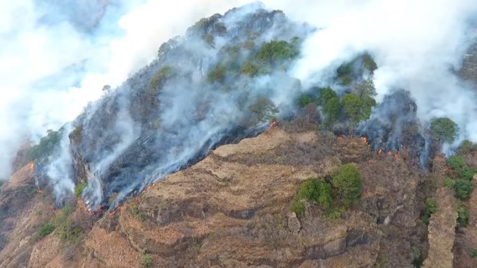 Incendio en Tepoztlán consume unas 45 hectáreas (Video)