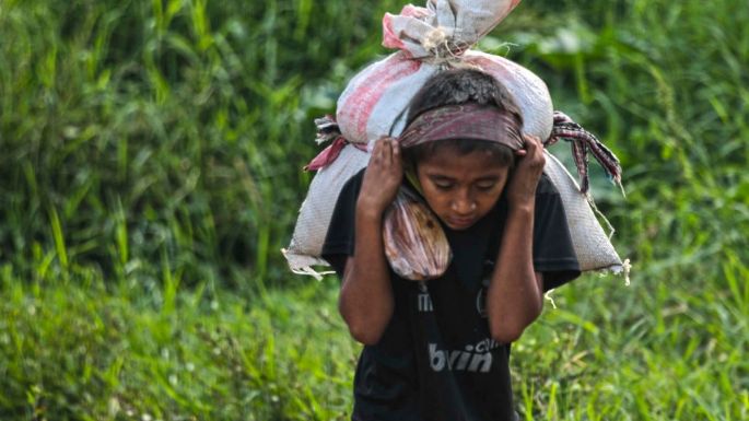 Crisis mundial por covid-19 puede provocar aumento de trabajo infantil, alerta ONG