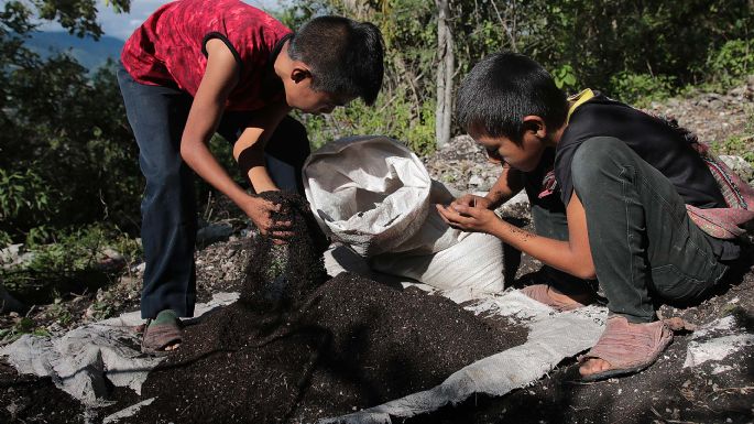 La pandemia podría ocasionar un aumento del trabajo infantil en América Latina: OIT