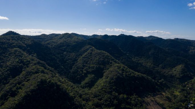 ONG: nada que celebrar en el Día Mundial del Medio Ambiente