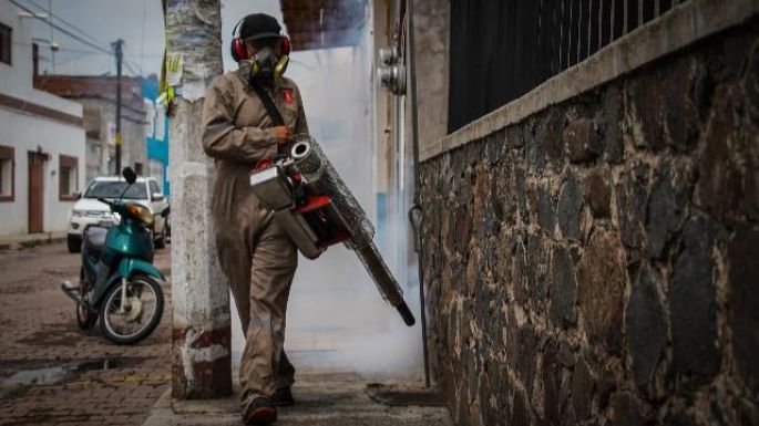 Confirman primera muerte por dengue en Jalisco