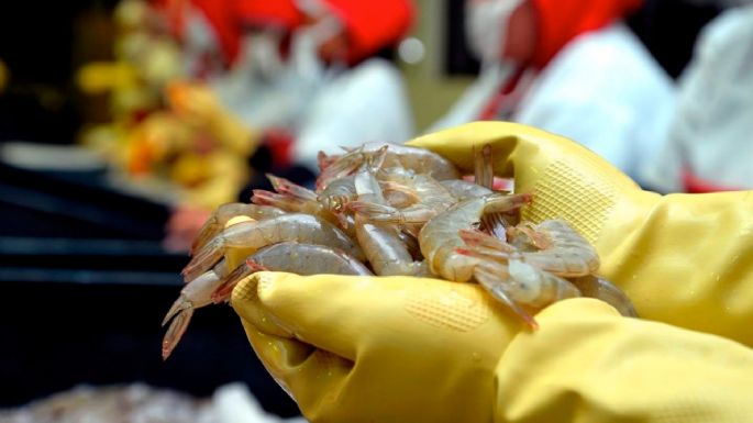 China detecta coronavirus en envases de camarón ecuatoriano