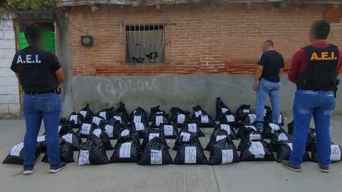 Camioneta cargada con 25 mil huevos de tortuga es asegurada en el Istmo de Tehuantepec