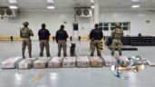 La Semar y Aduanas incautan 678.4 kilos de cocaína en el Puerto de Manzanillo