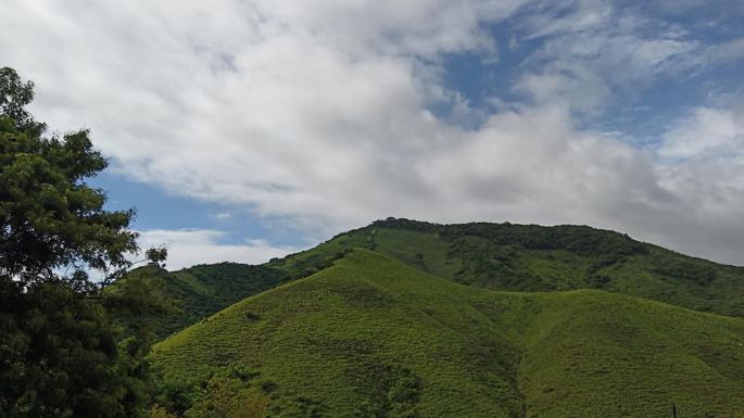 Denuncian que minera canadiense pretende perforar tierras de la Selva de los Chimalapas