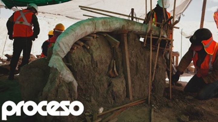 Mamuts en el aeropuerto: El yacimiento más rico en América Latina